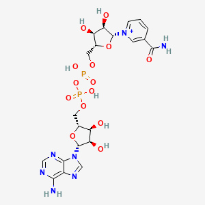 NAD+ and Cellular Energy: Research Insights molecular structure